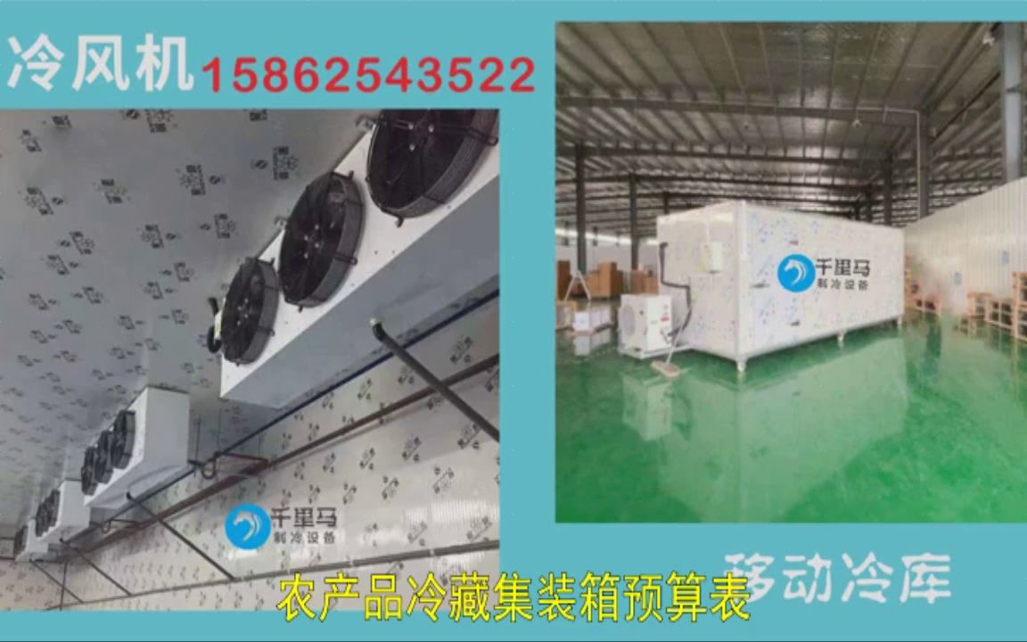 小型冷库建设与运营成本分析 从肉制品冷藏到果蔬保鲜