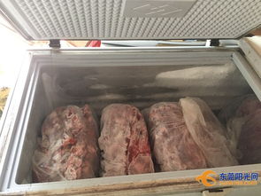 东莞厚街端掉一肉制品黑作坊 现场环境令人触目惊心